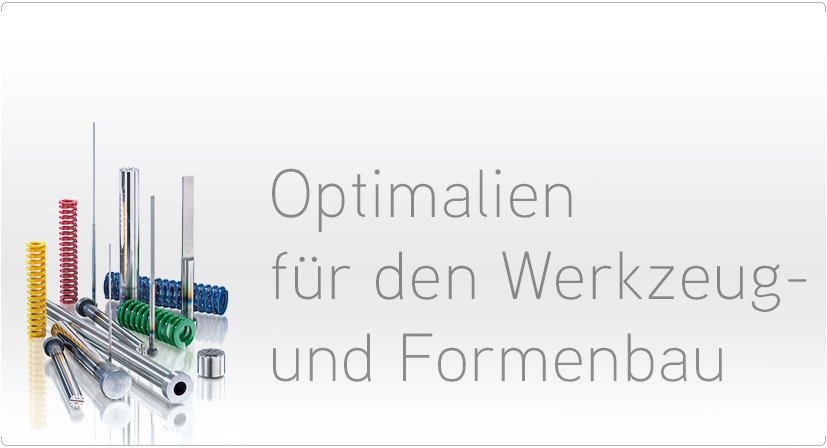 Werkzeug- und Formenbau bergmann-kaup Formtechnik GmbH